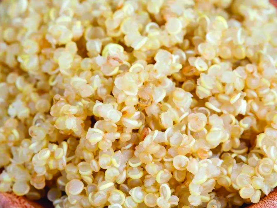 Quinoa