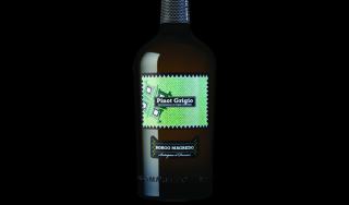 Pinot Grigio