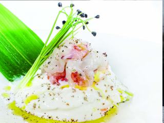 TARTAR EBI