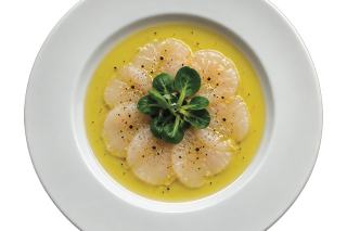 Carpaccio di capesante