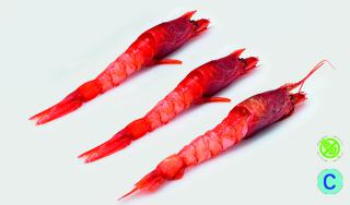 Sashimi amaebi