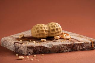 frutta realistica Arachide