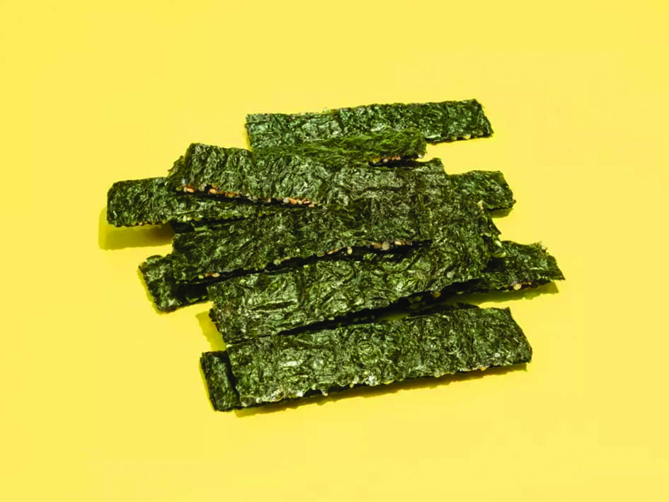 Alga nori